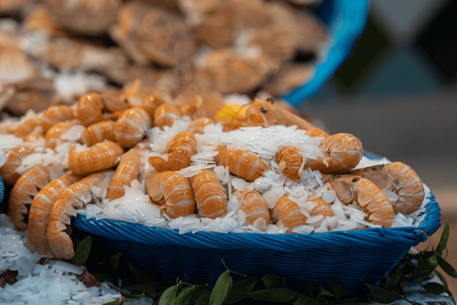 mercatini di Catania e street food